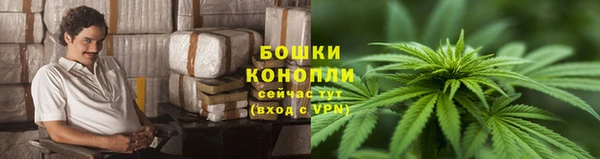 стаф Новодвинск