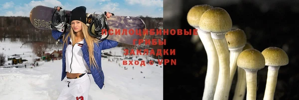 метадон Новозыбков
