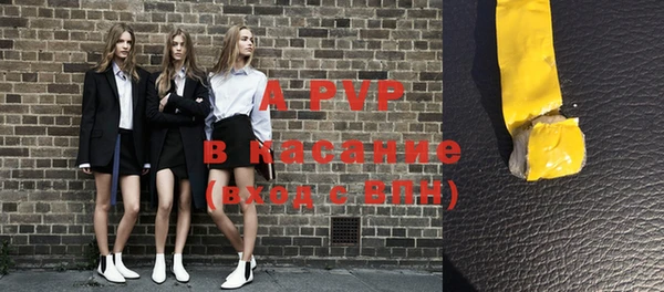 индика Абинск