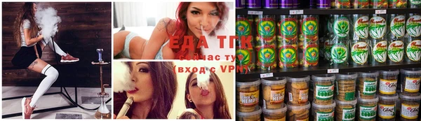 стаф Новодвинск