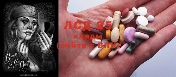 стаф Новодвинск