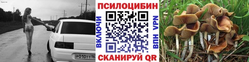 Псилоцибиновые грибы GOLDEN TEACHER  OMG как зайти  Богданович  цена  